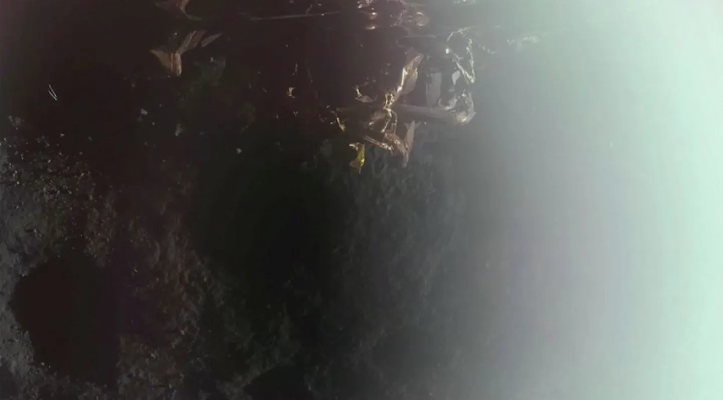 Впервые на Луну прибыл частный зонд